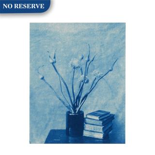 John Dugdale - \'Allium Flowers, Stone Ridge N. Y.\'