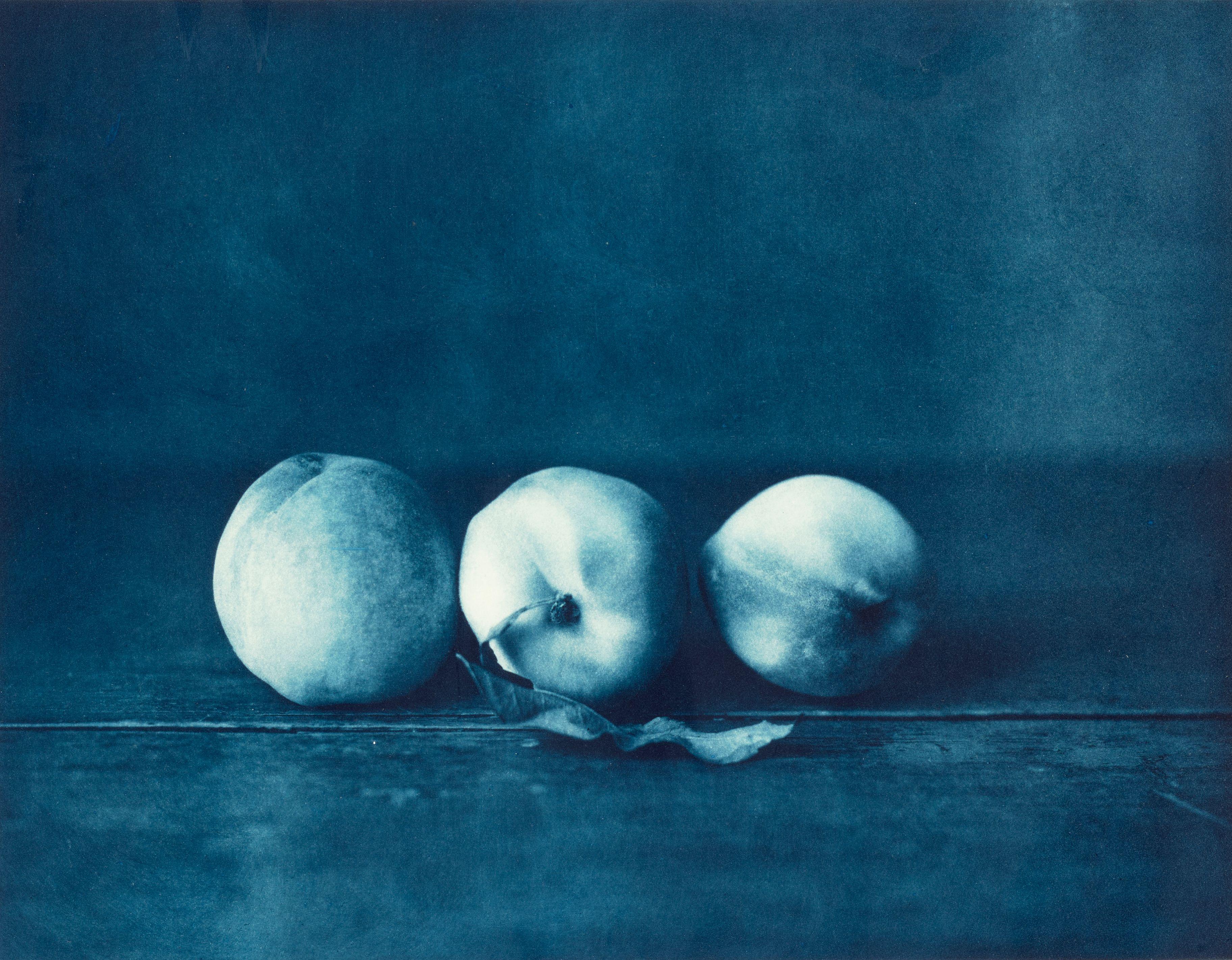 John Dugdale - Three White Peaches