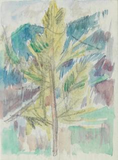 John Duncan Fergusson RBA - Study of a Tree