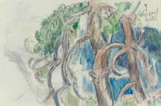 John Duncan Fergusson RBA - Study of Trees