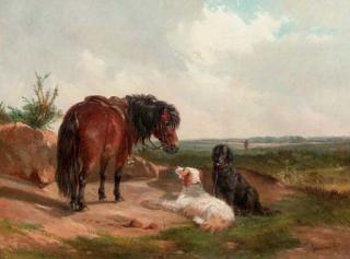 John Duvall - Waiting patiently