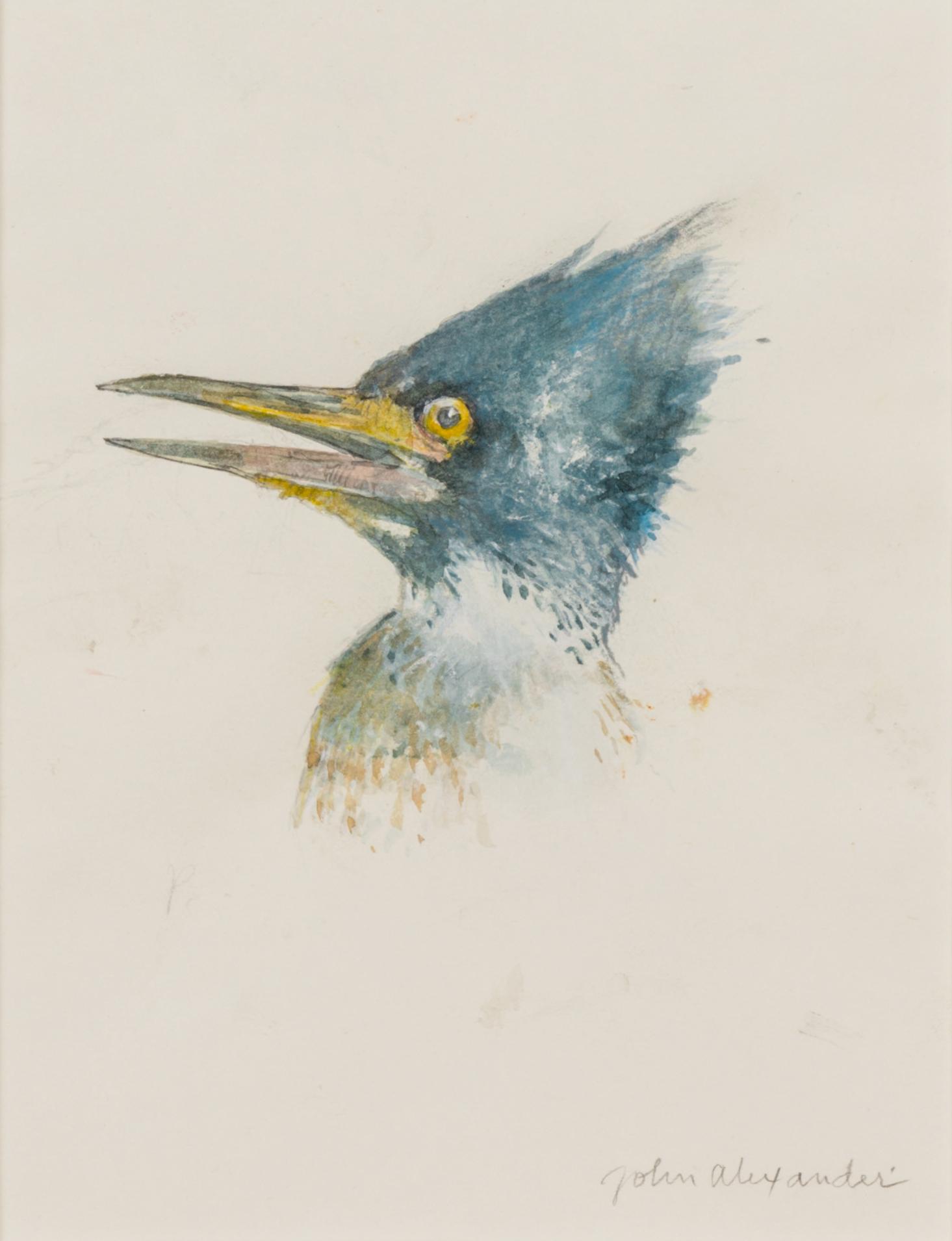 John E. Alexander - Looking For A Mate