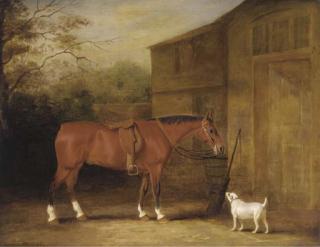 John E. Ferneley, Sen. - A bay hunter and a dog outside a stable