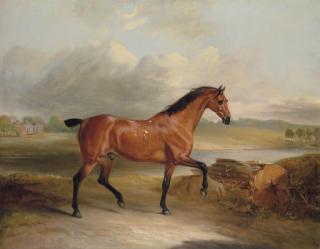 John E. Ferneley, Sen. - A Bay Hunter in a Landscape with a Lake and House Beyond