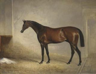 John E. Ferneley, Sen. - Attila, Winner Of The 1842 Derby, In A Stall