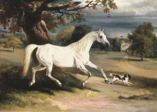 John E. Ferneley, Sen. - Mr. Dawson\'s Phoebus, a grey hunter with a spaniel, in the grounds of Launde Abbey, Leicestershire