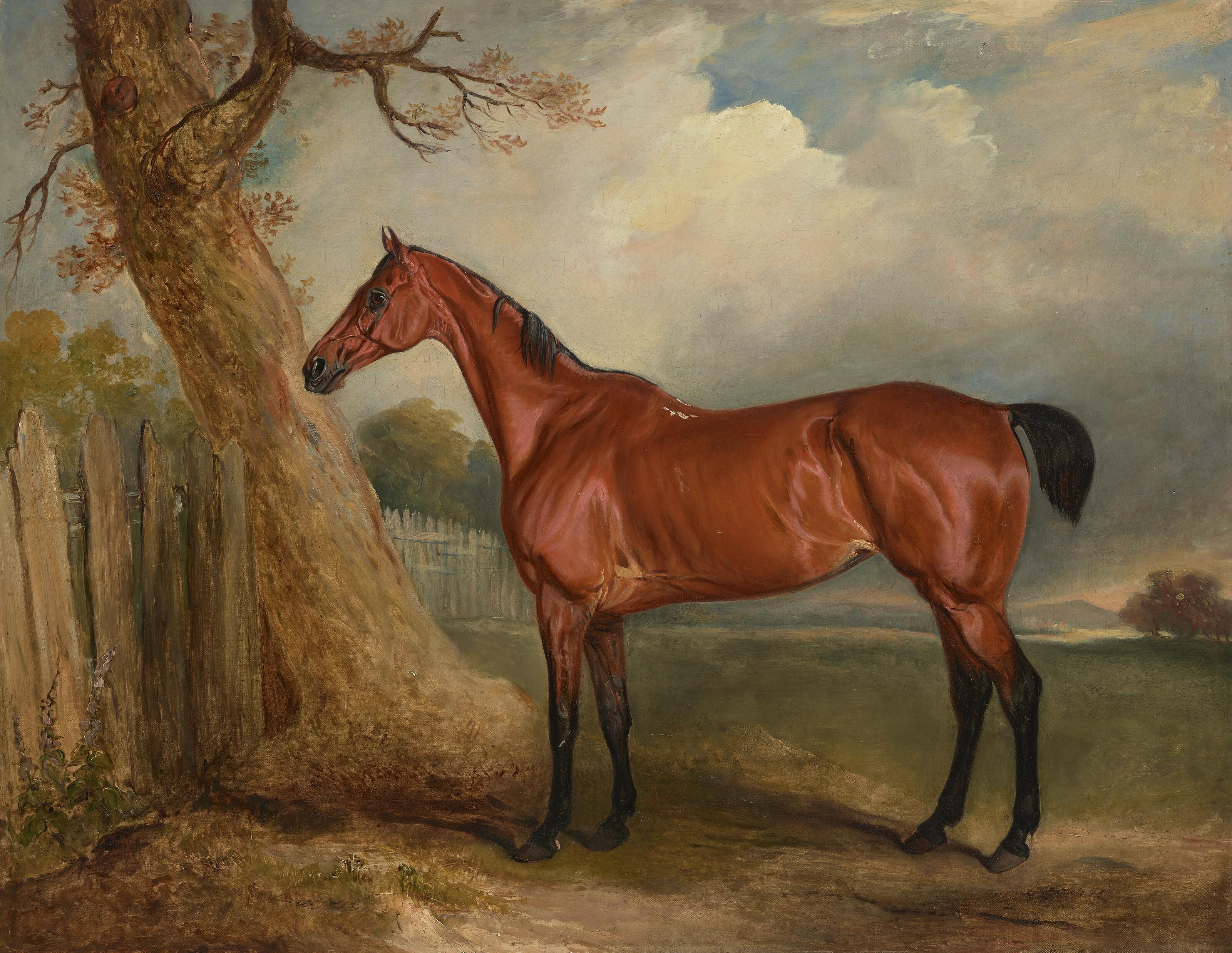 John E. Ferneley, Sen. - Mr. R. Shafto\'s favorite bay hunter in a landscape