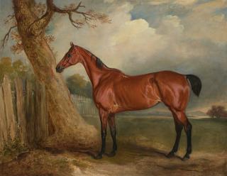 John E. Ferneley, Sen. - Mr. R. Shafto\'s favorite bay hunter in a landscape