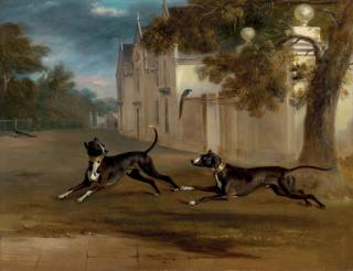 John E. Ferneley, Snr. - Earl Brownlow\'s Two Bull Terriers Nelson and Argo, running in the Grounds of a Country House, possibly Belton House