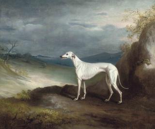 John E. Ferneley, Snr. - Snowstorm, a greyhound, in an extensive landscape