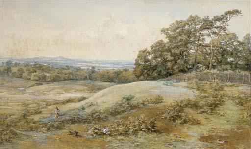 John Edward Newton - Hare coursing