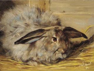 John Emms - A rabbit