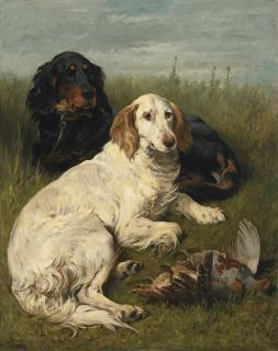 John Emms - British a Day\'S Bag