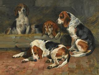 John Emms - British beagles - Fathers Of The Pack