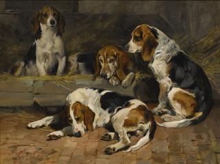 John Emms - British beagles- Fathers Of The Pack