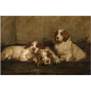 John Emms - Clumber Spaniels In A Kennel