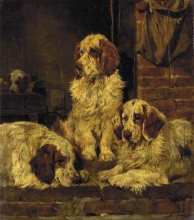 John Emms - Clumber Spaniels