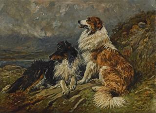 John Emms - Collies On The Moor