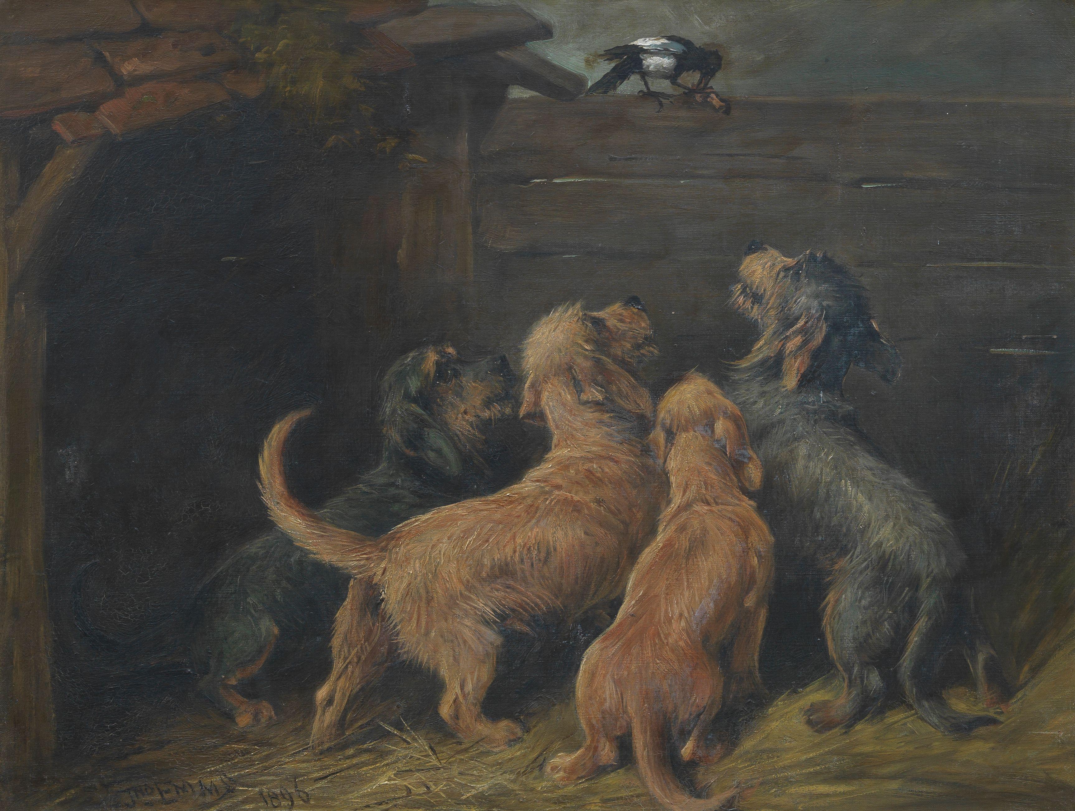 John Emms - Dandie Dinmonts and a magpie