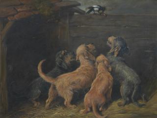 John Emms - Dandie Dinmonts and a magpie