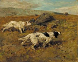 John Emms - Setters on the point