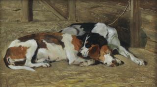 John Emms - Sleeping hounds