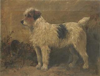 John Emms - Terrier In A Garden