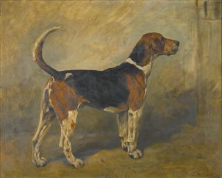 John Emms - Tomboy; Gallant; Gabriel; Warlock; Redrose; Tastety; Tastewell