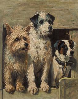 John Emms - Visitors