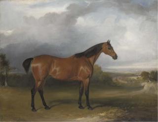 John Ferneley, Jun. - A bay hunter in a landscape with figures and horses by a path in the distance and a town beyond