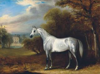 John Ferneley, Jun. - A grey Arabian in a landscape, with the south front of Hollin Hall, North Yorkshire beyond