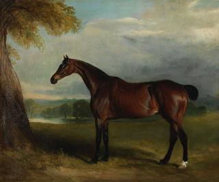 John Ferneley Junior - Portrait of a bay horse