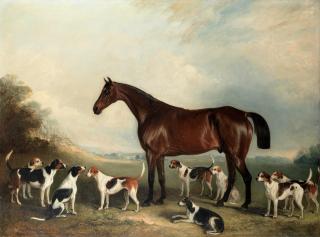John Ferneley Junior - The Hunter Merry Lad With Hounds In A Landscape
