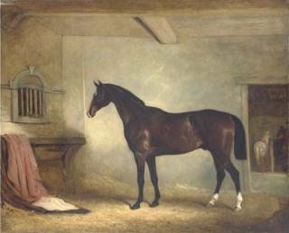 John Ferneley, Sen. - Mr. W. Everard\'s dark bay hunter in a loose-box