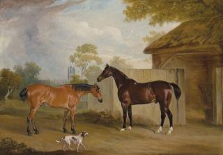 John Ferneley, Sen. - Mr. William Massey Stanley’s hunters Eventful and Ranksbro, with a hound