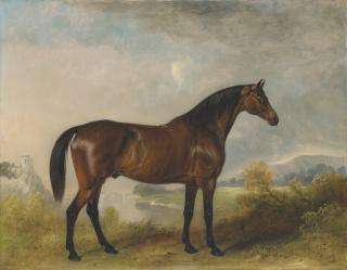 John Ferneley, Sen. - \'Rodolph\', a bay hunter, in an extensive landscape