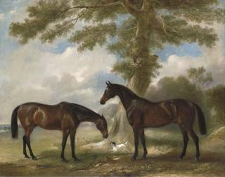 John Ferneley, Sen. - Two bay mares with a terrier by a tree, in a landscape