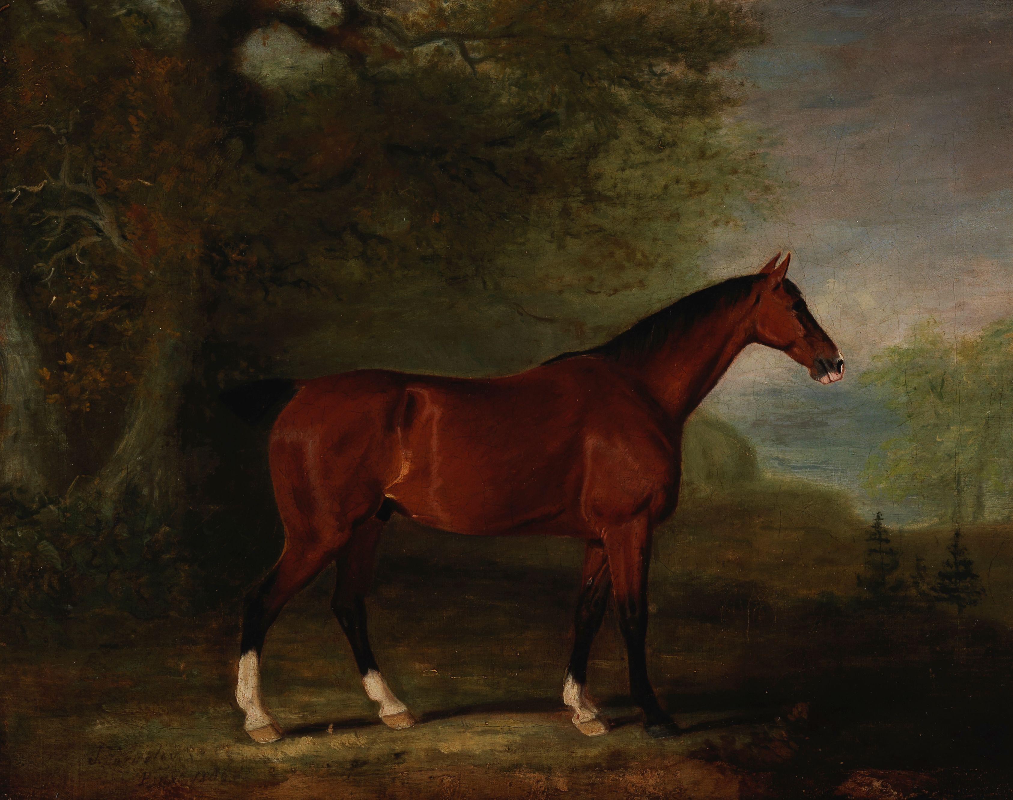 John Ferneley Senior - A chestnut hunter in a landscape