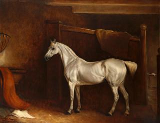 John Ferneley Senior - Portrait of a grey in a stable interior