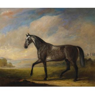 John Ferneley Snr. - A Dappled Grey Horse In An Extensive Landscape