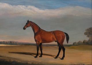 John Ferneley, Snr. - Portrait of a Bay Horse in Melton Mowbray Landscape, 1835