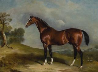 John Ferneley Snr. - Portrait Of Sultan, A Racehorse, In A Landscape