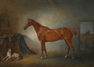John Ferneley Sr. - British lord Henry Bentinck\'S Chestnut Hunter Firebird And Policy, A Foxhound, In A Loose Box