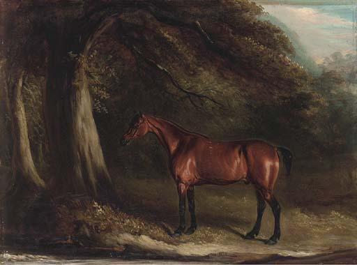 John Fernley, Jnr. - Old Dick, a bay in a wooded landscape