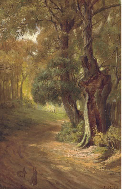 John Fitz Marshall - Bunnies On A Woodland Track