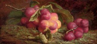 John Fitzmarshall, R.B.A. - Cherries on a branch; and Plums on a branch