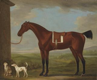 John Francis Sartorius - A saddled bay hunter tethered to a wall, with two hounds, a church in the landscape beyond