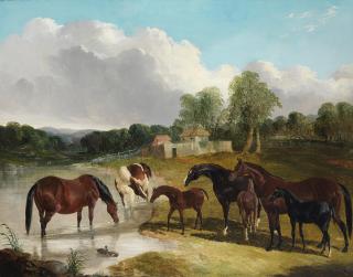 John Frederick Herring, Jnr. - Portraits of the Celebrated Mares: Queen of Trumps, Beeswing, Alice Hawthorn and their foals
