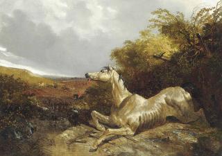 John Frederick Herring Jnr. - The runaway