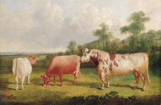 John Frederick Herring, Jr. - A bull and cows in a wooded landscape